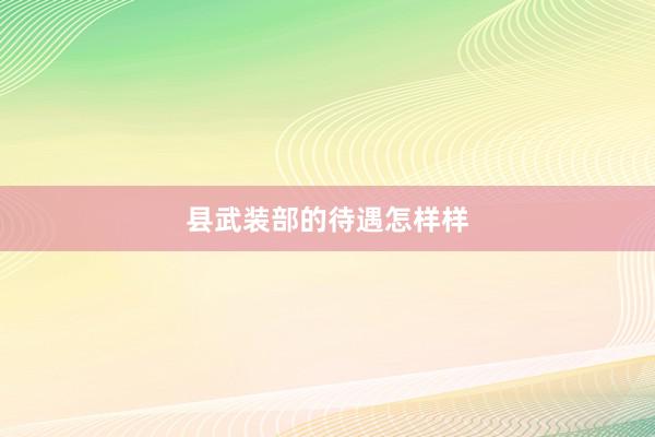 县武装部的待遇怎样样