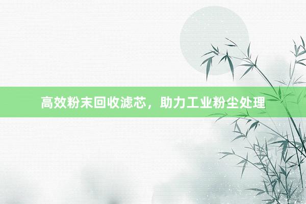 高效粉末回收滤芯，助力工业粉尘处理