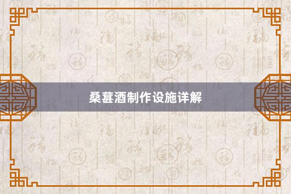 桑葚酒制作设施详解