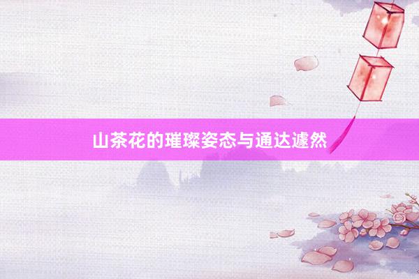山茶花的璀璨姿态与通达遽然