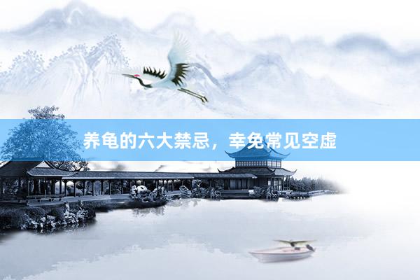 养龟的六大禁忌，幸免常见空虚